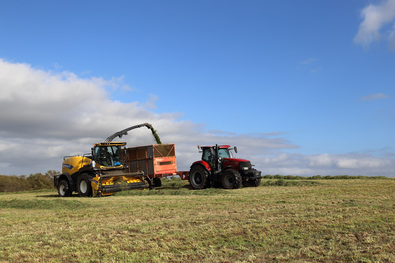コントラクター業務